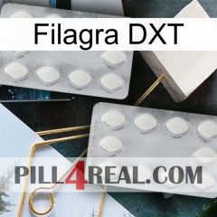Filagra DXT 17